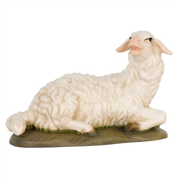 Schaf liegend Schaf liegend