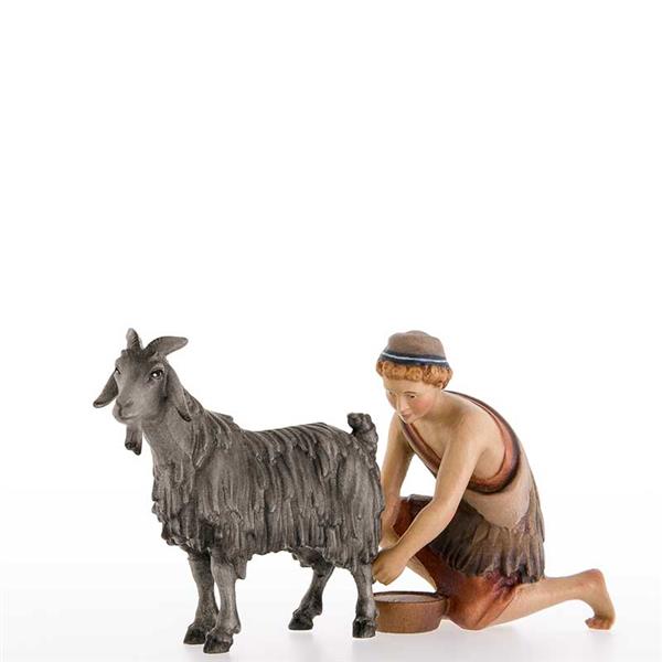 Ziegenmelker (für Ziege Nr. 39) Ziegenmelker (für Ziege Nr. 39)