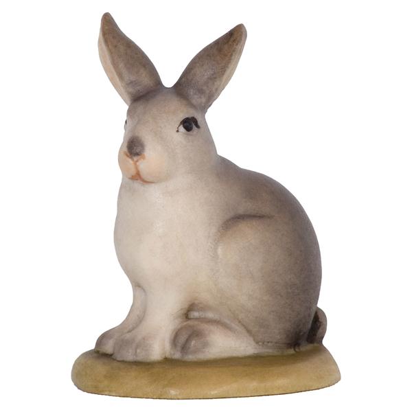 Hase Hase