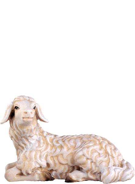 Schaf liegend Schaf liegend