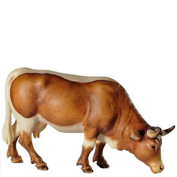 Kuh grasend dunkelbraun Kuh grasend dunkelbraun