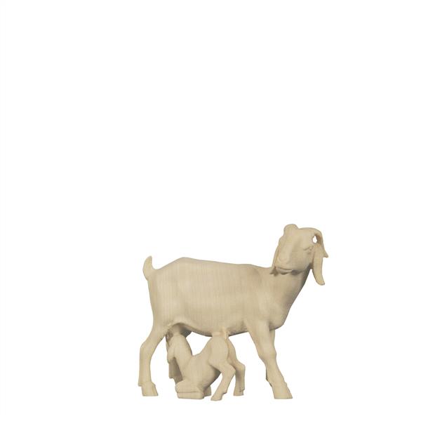 Burenziegenmutter mit Zicklein Burenziegenmutter mit Zicklein