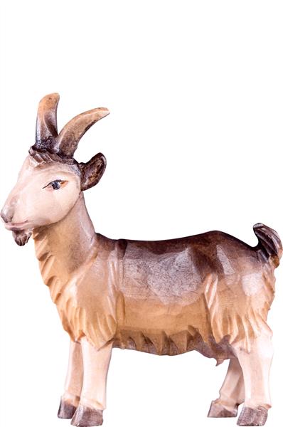 Ziege