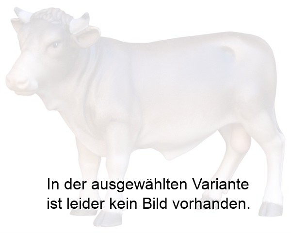 Stier - Ochs stehend Stier - Ochs stehend