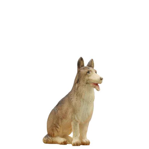 Schäferhund
