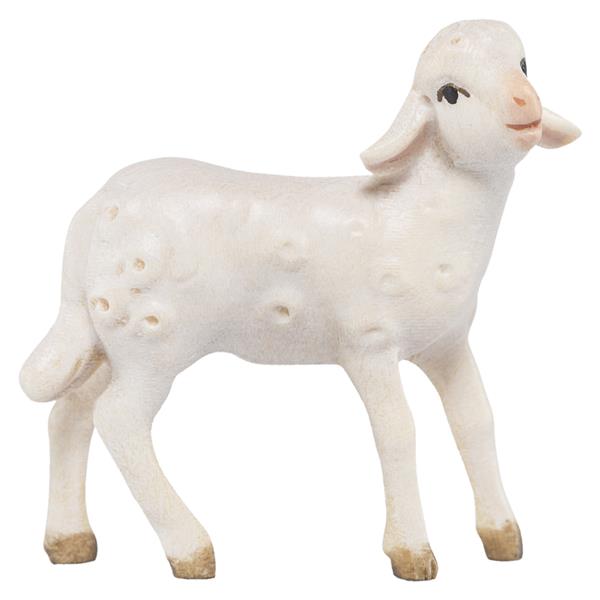 Lamm stehend Lamm stehend