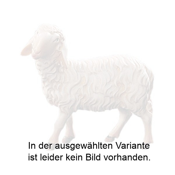 Schaf stehend Schaf stehend