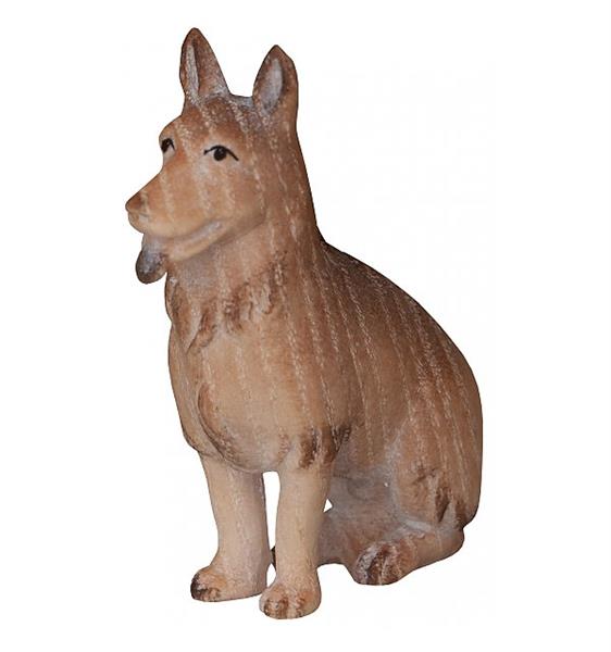 Schäferhund