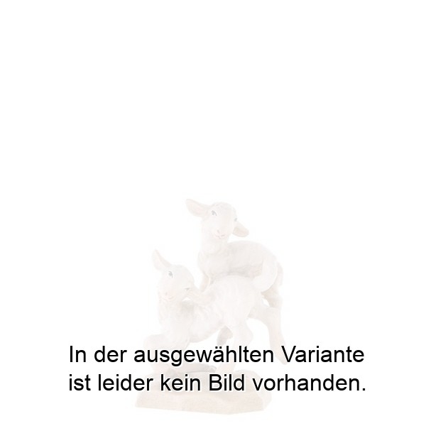 Springendes Lämmerpaar Springendes Lämmerpaar