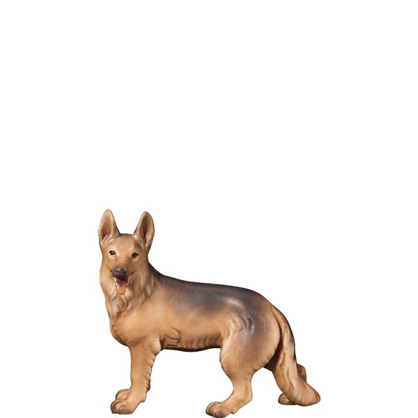Schäferhund Schäferhund