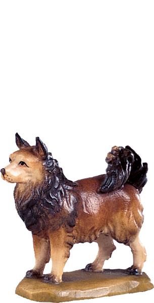 Spitzhund