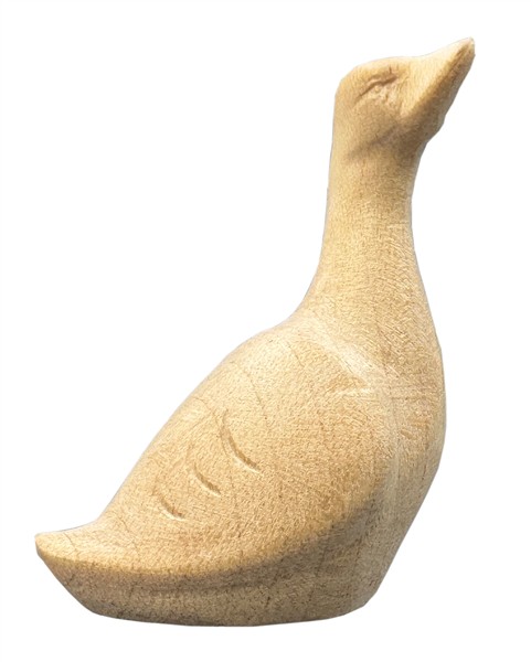 Gans modern