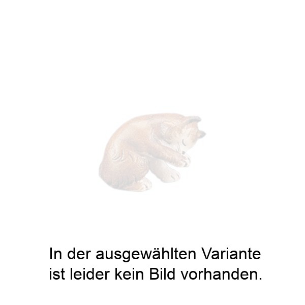 Kätzchen, das sich die Pfote leckt Kätzchen, das sich die Pfote leckt