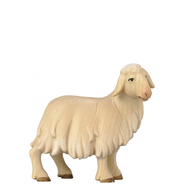 Schaf stehend Schaf stehend