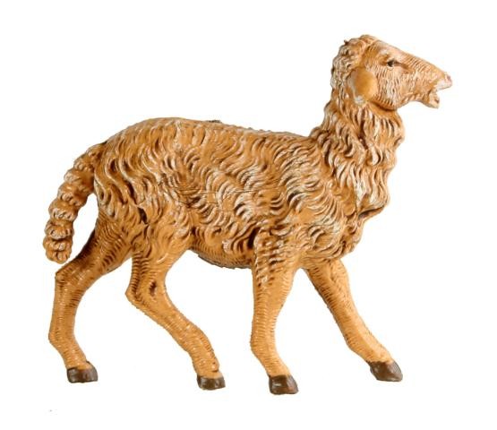 Schaf stehend Schaf stehend