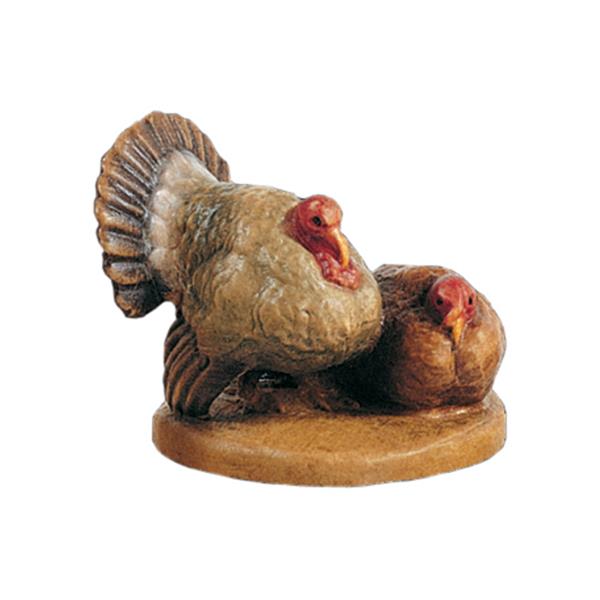 Truthahngruppe Truthahngruppe