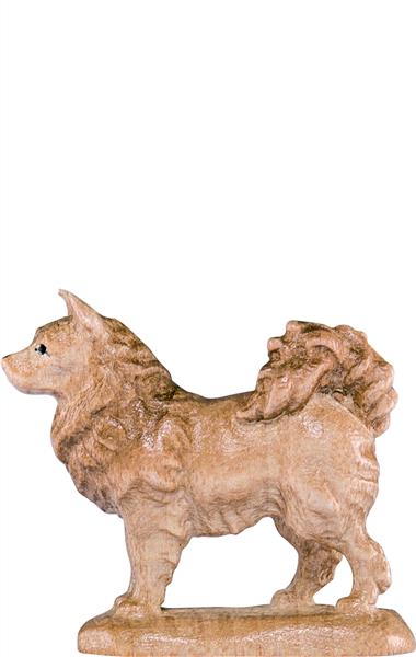 Spitzhund