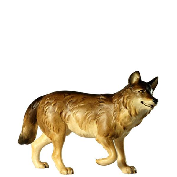 Wolf laufend Wolf laufend