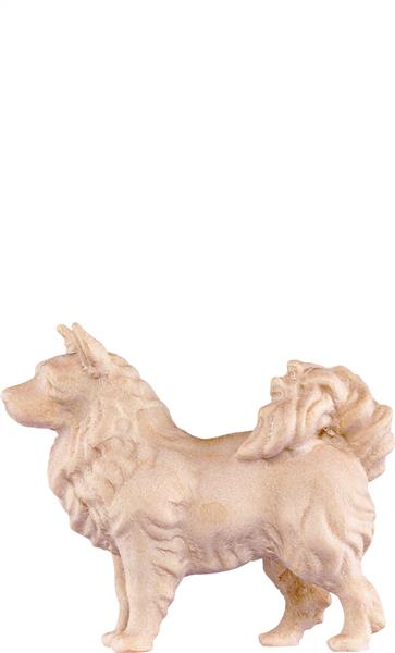Spitzhund