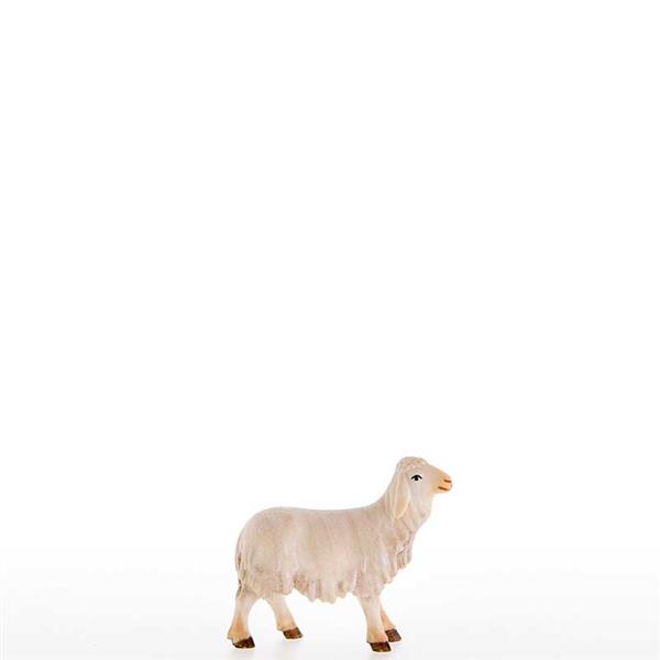 Lamm mit Kopf nach oben