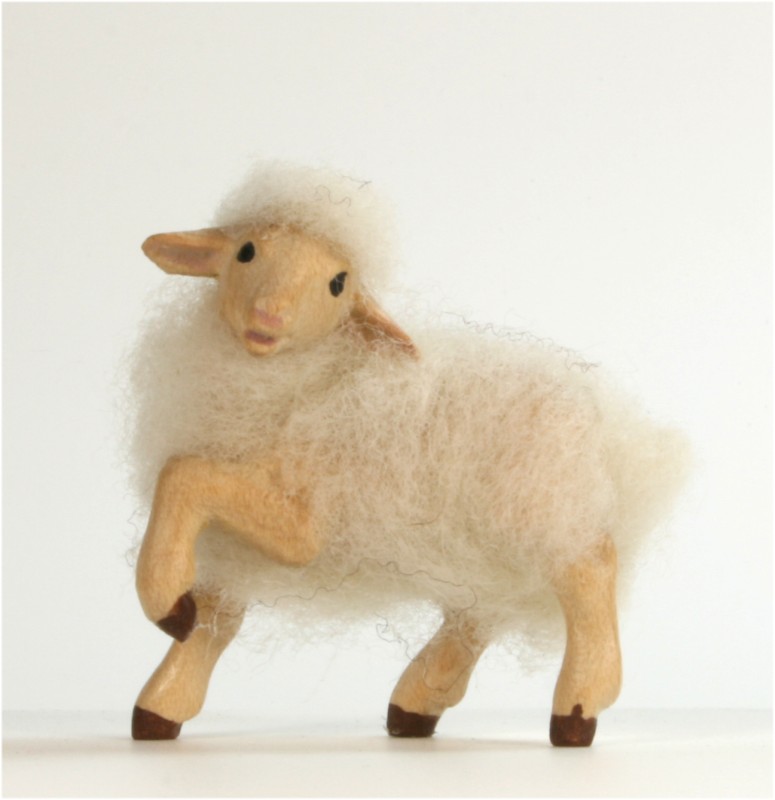 Lamm Fuß hoch Lamm Fuß hoch