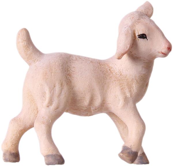 Lamm