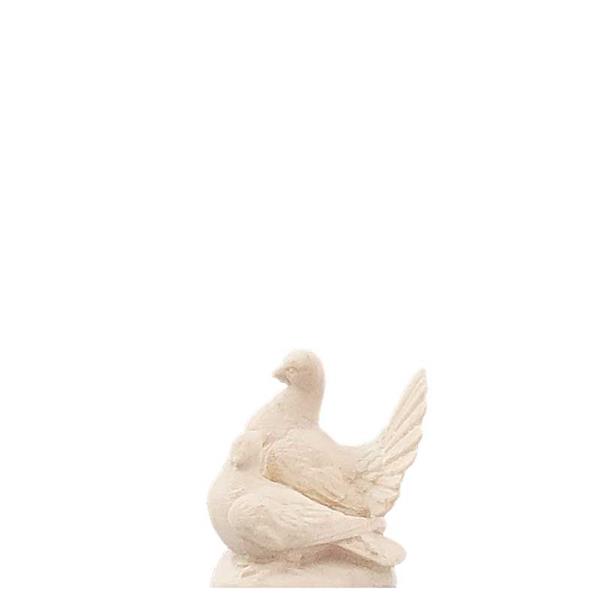 Taubenpaar Taubenpaar