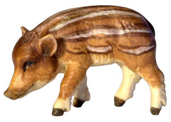 Wildschweinjunge Kopf links Wildschweinjunge Kopf links