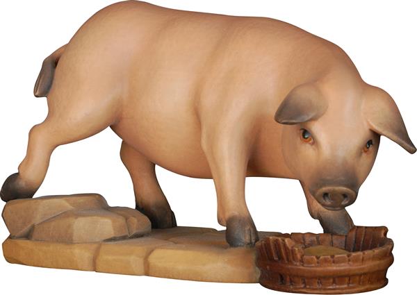 Schwein Schwein