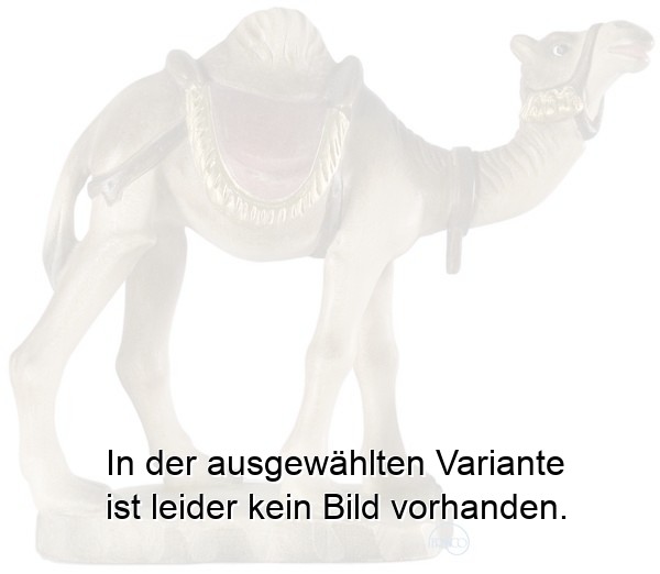 Kamel
