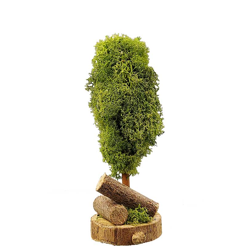 Flechtenbaum Flechtenbaum