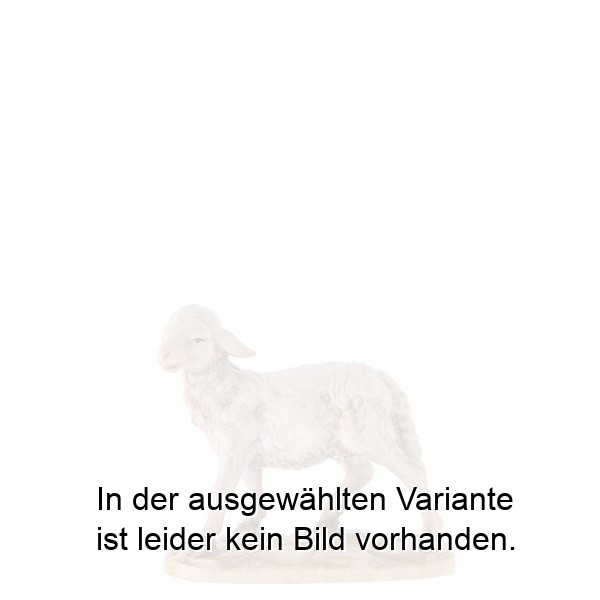 Schaf stehend