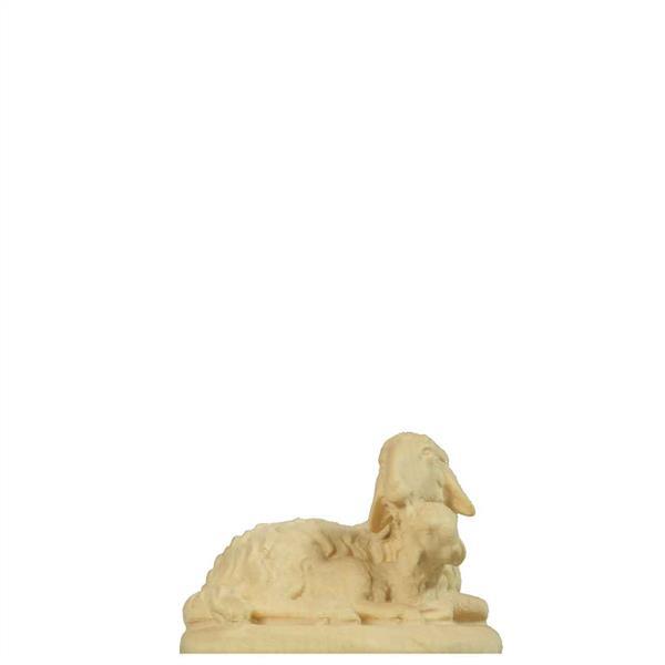 Schaf mit Lamm Schaf mit Lamm