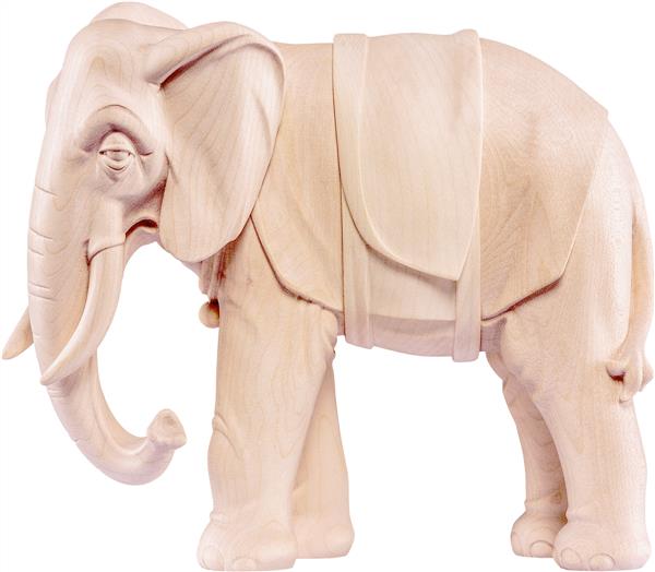 Elefant Artis