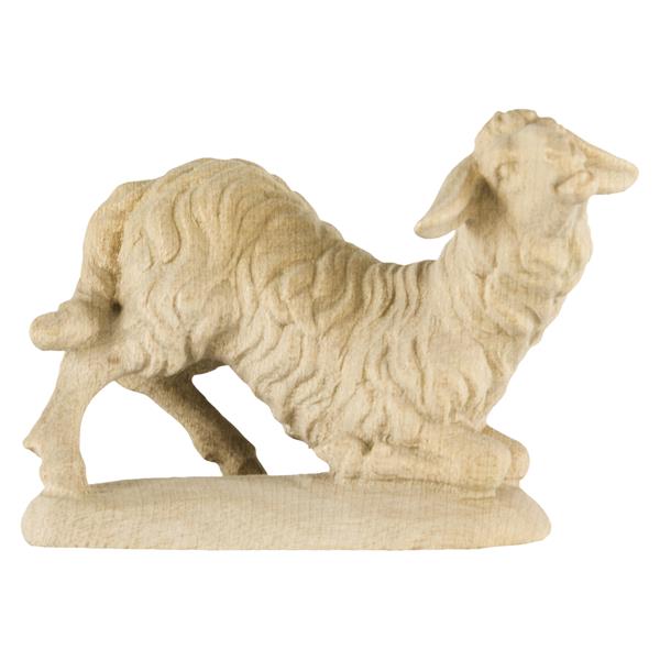 Schaf kniend Schaf kniend