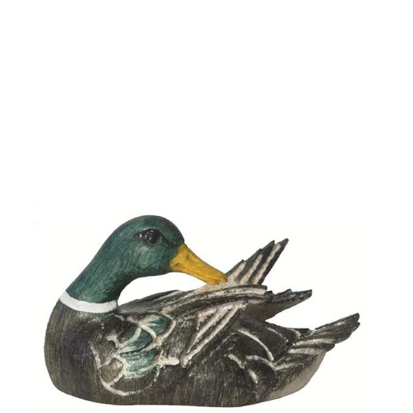 Ente - Flügel putzend grün