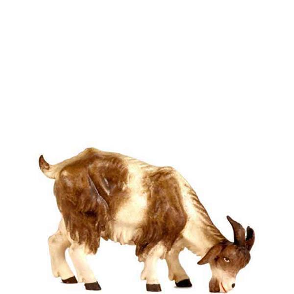 Ziege grasend Ziege grasend