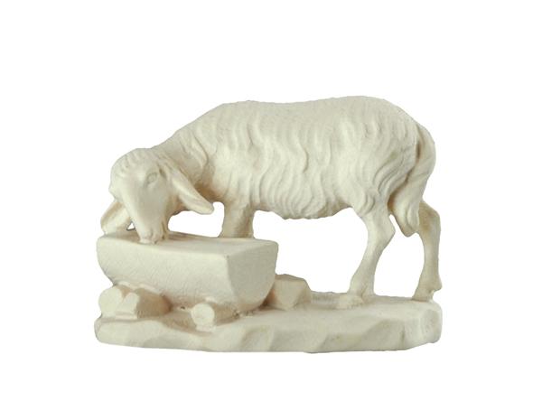 Schaf am Brunnen Schaf am Brunnen