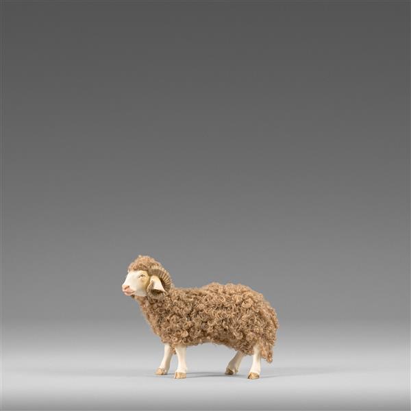 Widder mit Wolle Braun Widder mit Wolle Braun