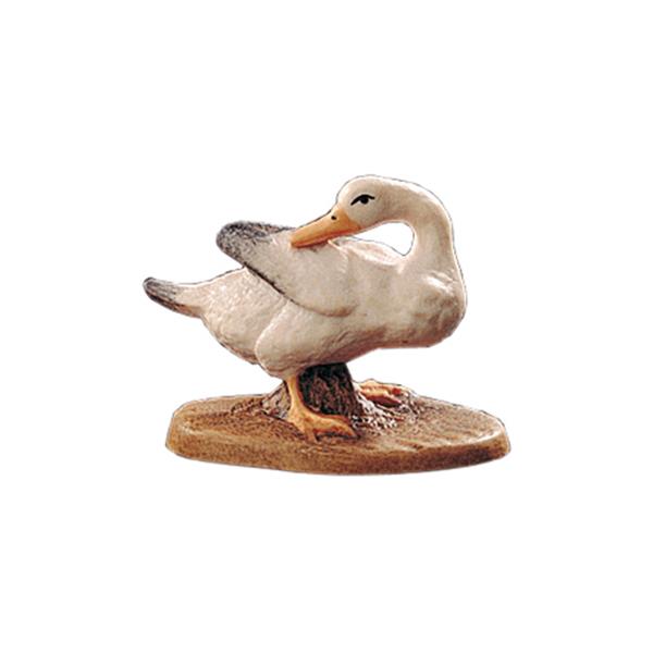 Gans Kopf zurück Gans Kopf zurück