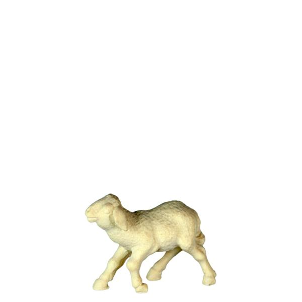 Lamm