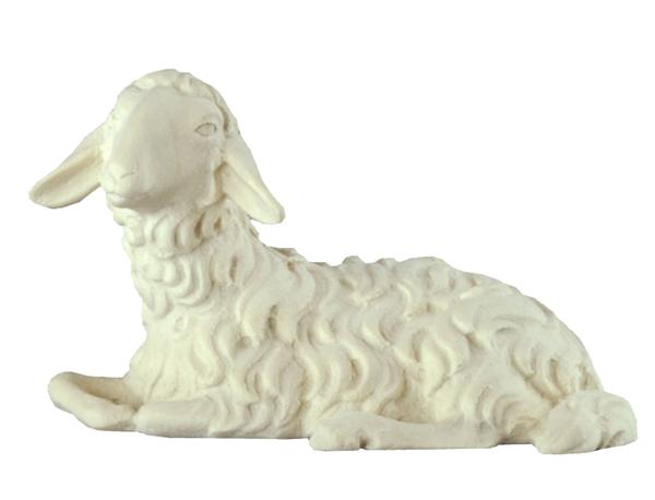 Schaf liegend Schaf liegend