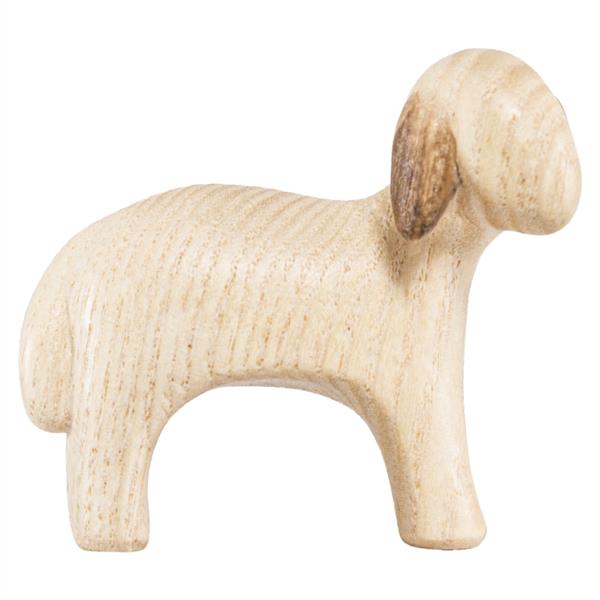 Schaf rechtsschauend