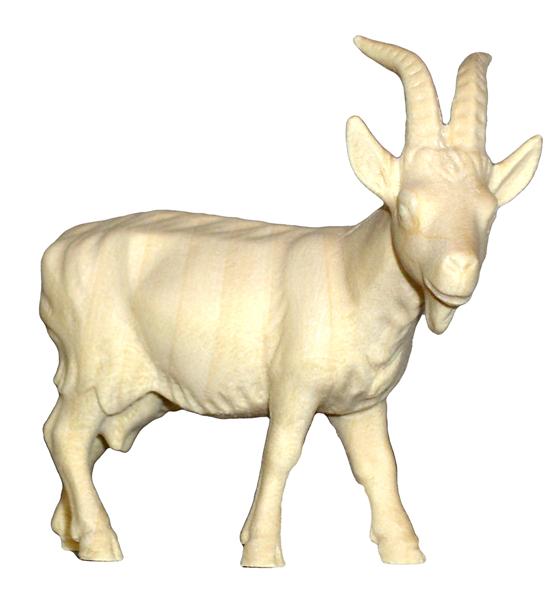 Ziege