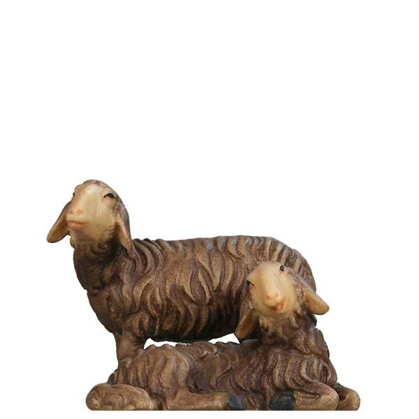 Schafgruppe SCHWARZ Schafgruppe SCHWARZ