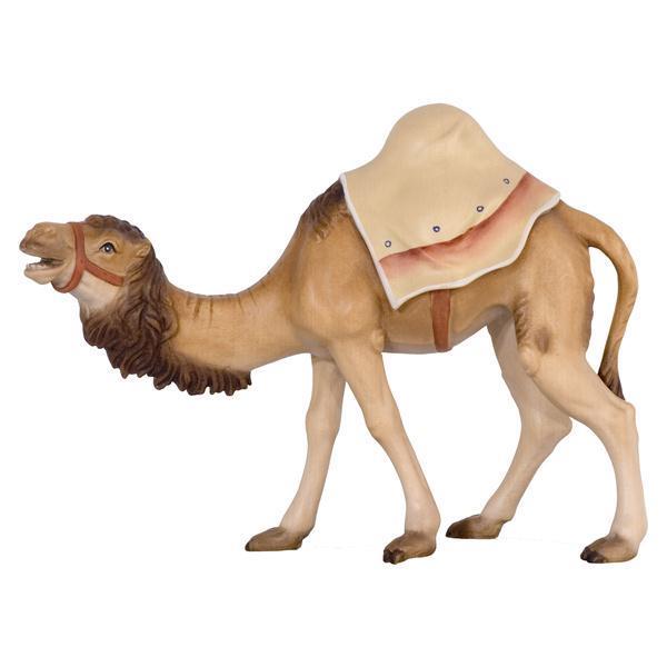 Kamel