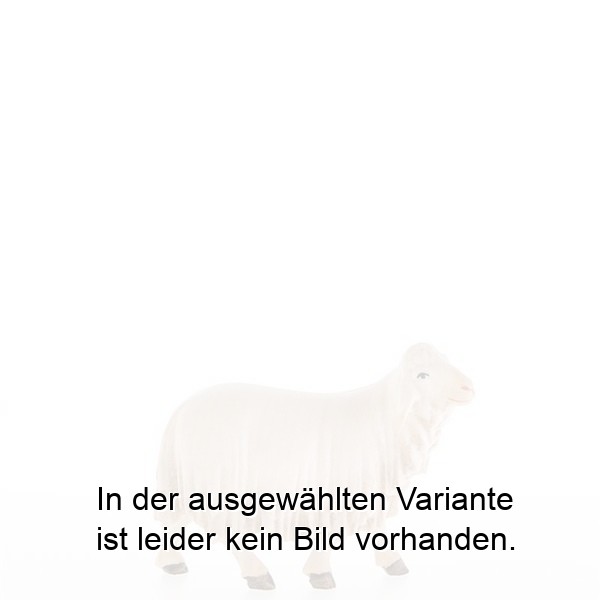 Schaf