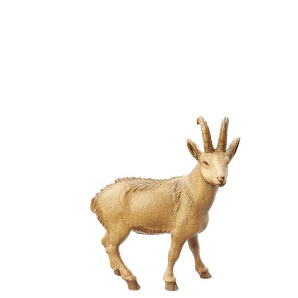 Gemsbock Gemsbock