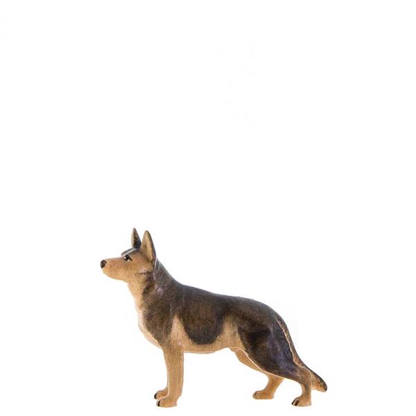 Schäferhund Schäferhund