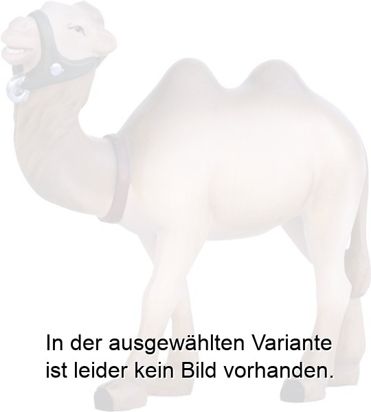 Kamel stehend modern